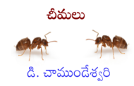 చీమలు