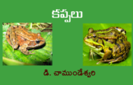 కప్పలు