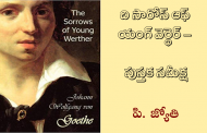ది సారోస్ ఆఫ్ యంగ్ వెర్థెర్ - పుస్తక సమీక్ష