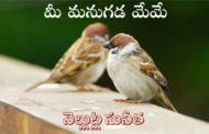 మీ మనుగడ మేమే