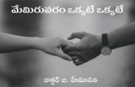 మేమిరువరం ఒక్కటే