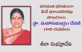 పరిమళ భరితంగా వీచే మాండలికపు సొబగులు ప్రొ. మహాసముద్రం దేవకి గారి రచనలు