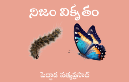 నిజం వికృతం