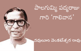 పాలగుమ్మి పద్మరాజు గారి ‘గాలివాన’