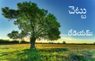 చెట్టు