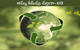 అమ్మ కడుపు చల్లగా-69