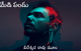 మేడి పండు