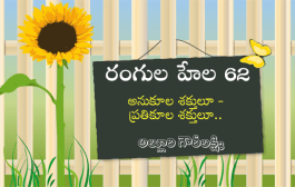 రంగుల హేల 62: అనుకూల శక్తులూ - ప్రతికూల శక్తులూ
