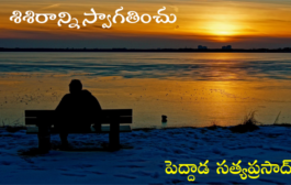 శిశిరాన్ని స్వాగతించు