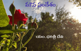 మౌన సందేశం