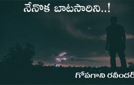 నేనొక బాటసారిని..!