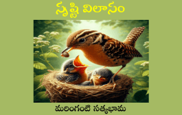 సృష్టి విలాసం