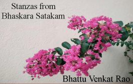 Stanzas from ‘Bhaskara SatakaM’