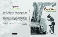 వడగాల్పు మధ్యాహ్నాన్ని చిరుజల్లు సాయంత్రం చేసే కవిత్వం ‘నేలపాట’