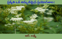 ప్రకృతి ఒక అద్భుతమైన ప్రయోగశాల!