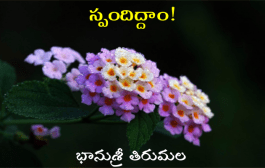 స్పందిద్దాం!