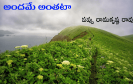 అందమే అంతటా
