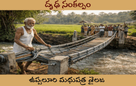 దృఢ సంకల్పం