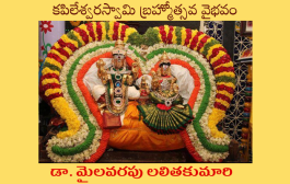 కపిలేశ్వరస్వామి బ్రహ్మోత్సవ వైభవం