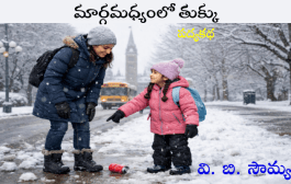 మార్గమధ్యంలో తుక్కు