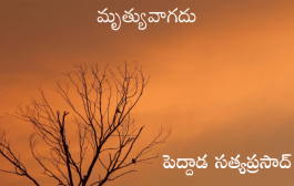 మృత్యువాగదు