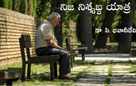 నిజ నిశ్శబ్ద యాత్ర
