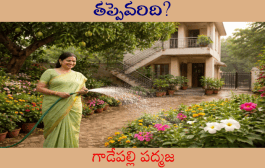 తప్పెవరిది?