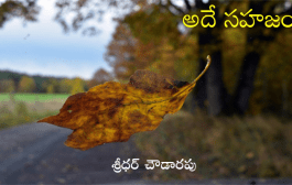 అదే సహజం