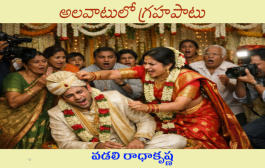 అలవాటులో గ్రహపాటు