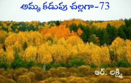 అమ్మ కడుపు చల్లగా-73