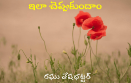 ఇలా చెప్పుకుందాం