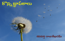 కొన్ని జ్ఞాపకాలు