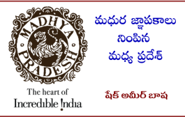 మధుర జ్ఞాపకాలు నింపిన మధ్య ప్రదేశ్