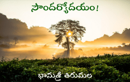 సౌందర్యోదయం!