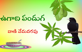 ఉగాది పండగ