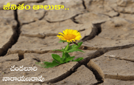 జీవితం తాలుకా..