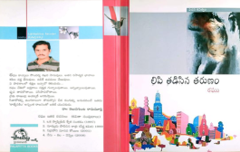 మనసు లోతుల నుంచి ఉబికిన కవిత్వం - ‘లిపి తడిసిన తరుణం’
