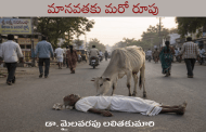 మానవతకు మరో రూపు
