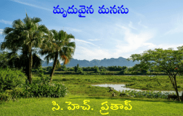 మృదువైన మనసు