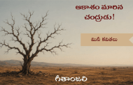 ఆకాశం మారిన చంద్రుడు!