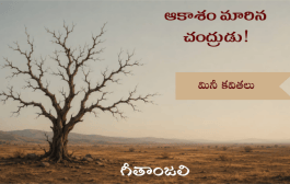 ఆకాశం మారిన చంద్రుడు!