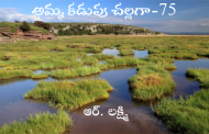 అమ్మ కడుపు చల్లగా-75