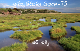 అమ్మ కడుపు చల్లగా-75