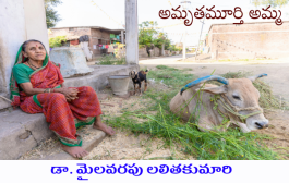 అమృతమూర్తి అమ్మ