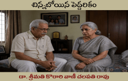 చిన్నబోయిన పెద్దరికం