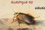 కుంకబొద్దింక కథ