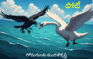 పోటీ