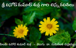 శ్రీ వినోద్ కుమార్ శుక్ల గారి రెండు చిన్న కవితలు