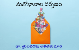 మనోభావాల దర్పణం