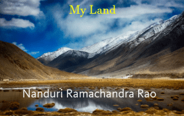 My Land